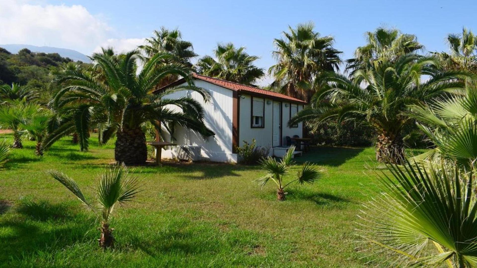La Palma Beachfront Suites 耶奥伊乌波利斯 外观 照片